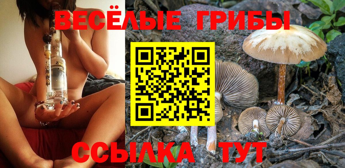 Галлюциногенные грибы мухоморы Гусев