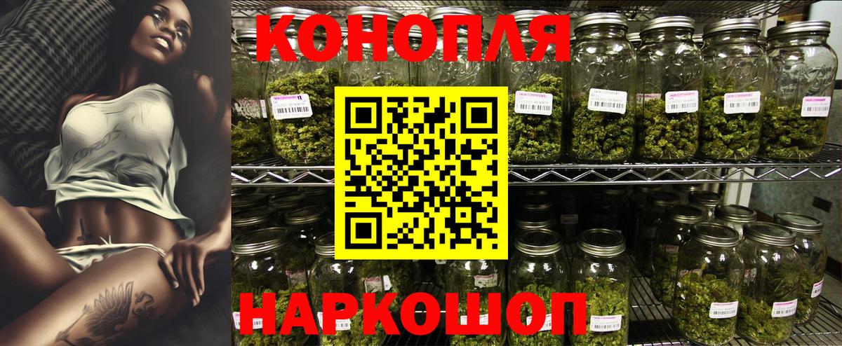 Каннабис тримм  Вход с VPN  Каннабис White Widow  Марихуана MAZAR  Бошки Шишки семена  Гусев 